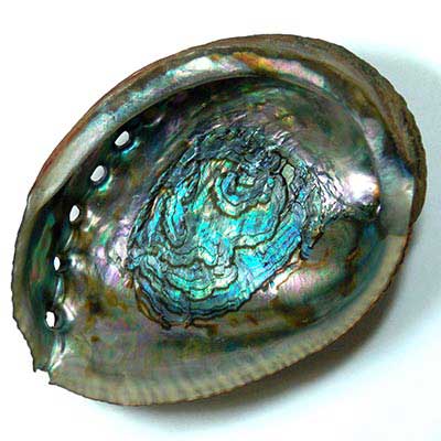 Crystals and Minerals - Abalone Shell from Healing Crystals