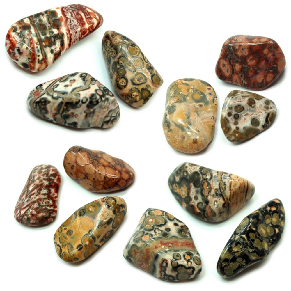leopard skin jasper stone
